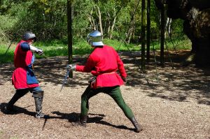 Swordmen in Sherwood Forest